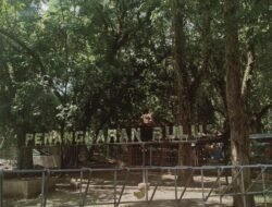 10 Tempat Wisata Alam Tersembunyi di Jawa yang Wajib Dikunjungi 7 10 Tempat Wisata Alam Tersembunyi di Jawa yang Wajib Dikunjungi
