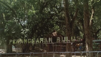 10 Tempat Wisata Alam Tersembunyi di Jawa wisata unik