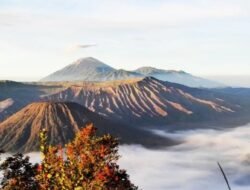 Menyusuri Keindahan Bromo: Tips Wisata Murah dan Anti Macet 2 Menyusuri Keindahan Bromo: Tips Wisata Murah dan Anti Macet