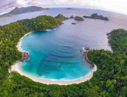Banyuwangi: Gerbang Timur Jawa yang Memikat Dunia, Kisah Keajaiban Alam dan Budaya yang Mendunia 6 Banyuwangi: Gerbang Timur Jawa yang Memikat Dunia, Kisah Keajaiban Alam dan Budaya yang Mendunia