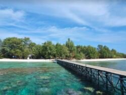 Karimunjawa: Senandung Surga Tersembunyi di Pelukan Jawa 4 Karimunjawa: Senandung Surga Tersembunyi di Pelukan Jawa