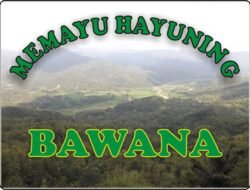 Menggali Makna Memayu Hayuning Bawana: Mutiara Kebijaksanaan Jawa 6 Menggali Makna Memayu Hayuning Bawana: Mutiara Kebijaksanaan Jawa