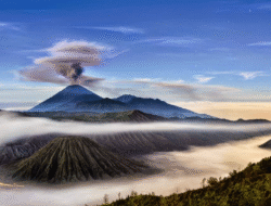 Probolinggo: Lebih dari Sekadar Gerbang Bromo – Menjelajahi Pesona Instagramable di Jantung Jawa Timur 9 Probolinggo: Lebih dari Sekadar Gerbang Bromo – Menjelajahi Pesona Instagramable di Jantung Jawa Timur