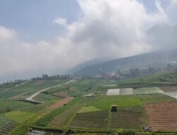 Karanganyar: Menguak Tirai Pesona di Lereng Lawu – 3 Destinasi Wajib Kunjungi untuk Liburan Tak Terlupakan 7 Karanganyar: Menguak Tirai Pesona di Lereng Lawu – 3 Destinasi Wajib Kunjungi untuk Liburan Tak Terlupakan