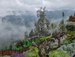 Jawa: Permata Hijau Nusantara – Menjelajahi Destinasi Taman & Objek Wisata Alam Terbaik 10 Jawa: Permata Hijau Nusantara – Menjelajahi Destinasi Taman & Objek Wisata Alam Terbaik