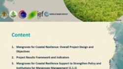 Peran Mangrove dalam Ekosistem Nasional