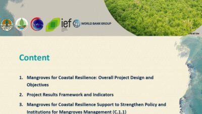 Peran Mangrove dalam Ekosistem Nasional