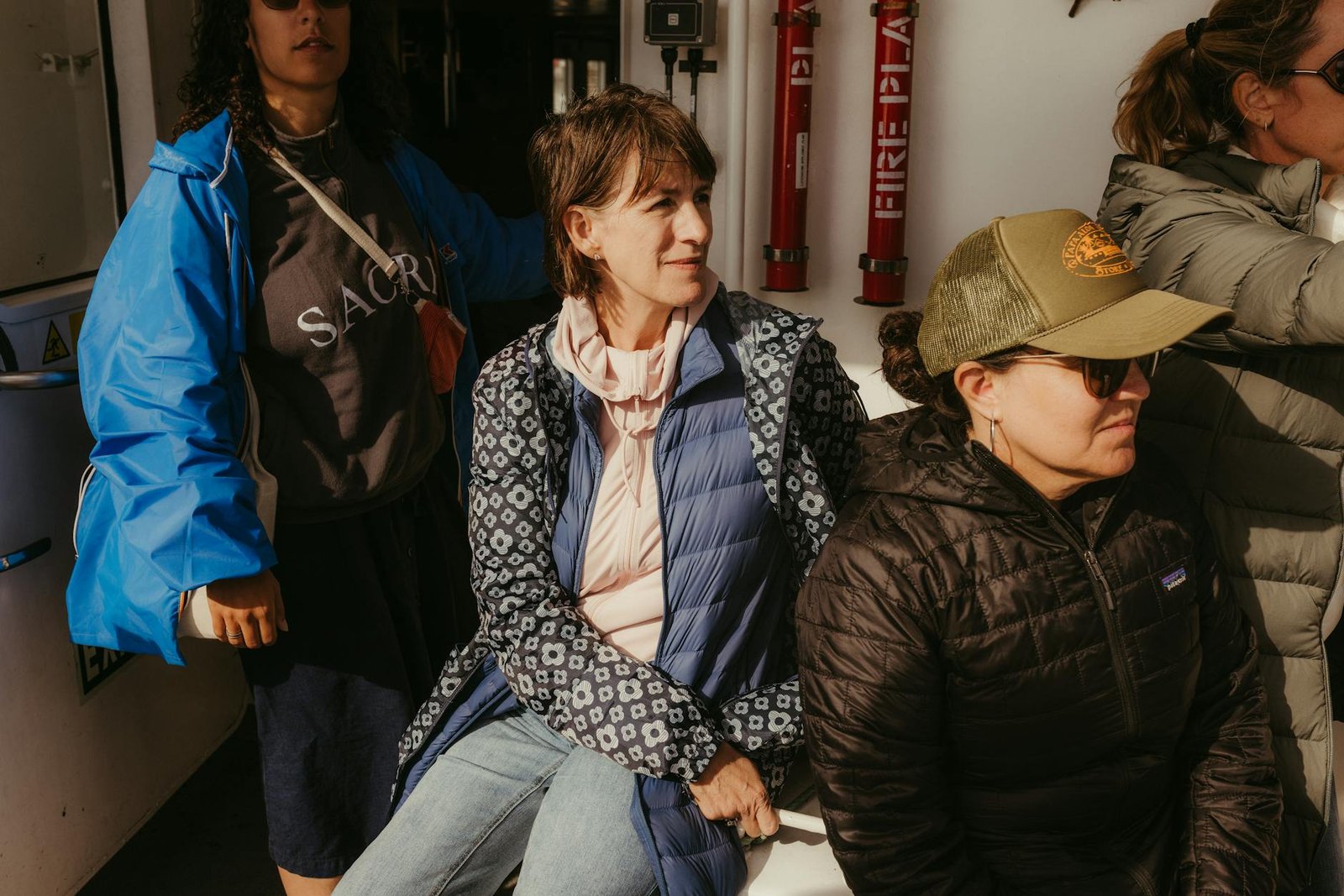 pexels photo 33912080