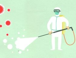 Berita Hari Ini: Bandingkan 5 Portal Top, Pilih yang Paling Akurat!