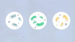 Berita Terbaru Terpopuler Hari Ini: Update Lengkap yang Wajib Kamu Baca Sekarang! 3 pexels photo 5842129