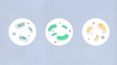 Berita Terbaru Terpopuler Hari Ini: Update Lengkap yang Wajib Kamu Baca Sekarang! 10 pexels photo 5842129